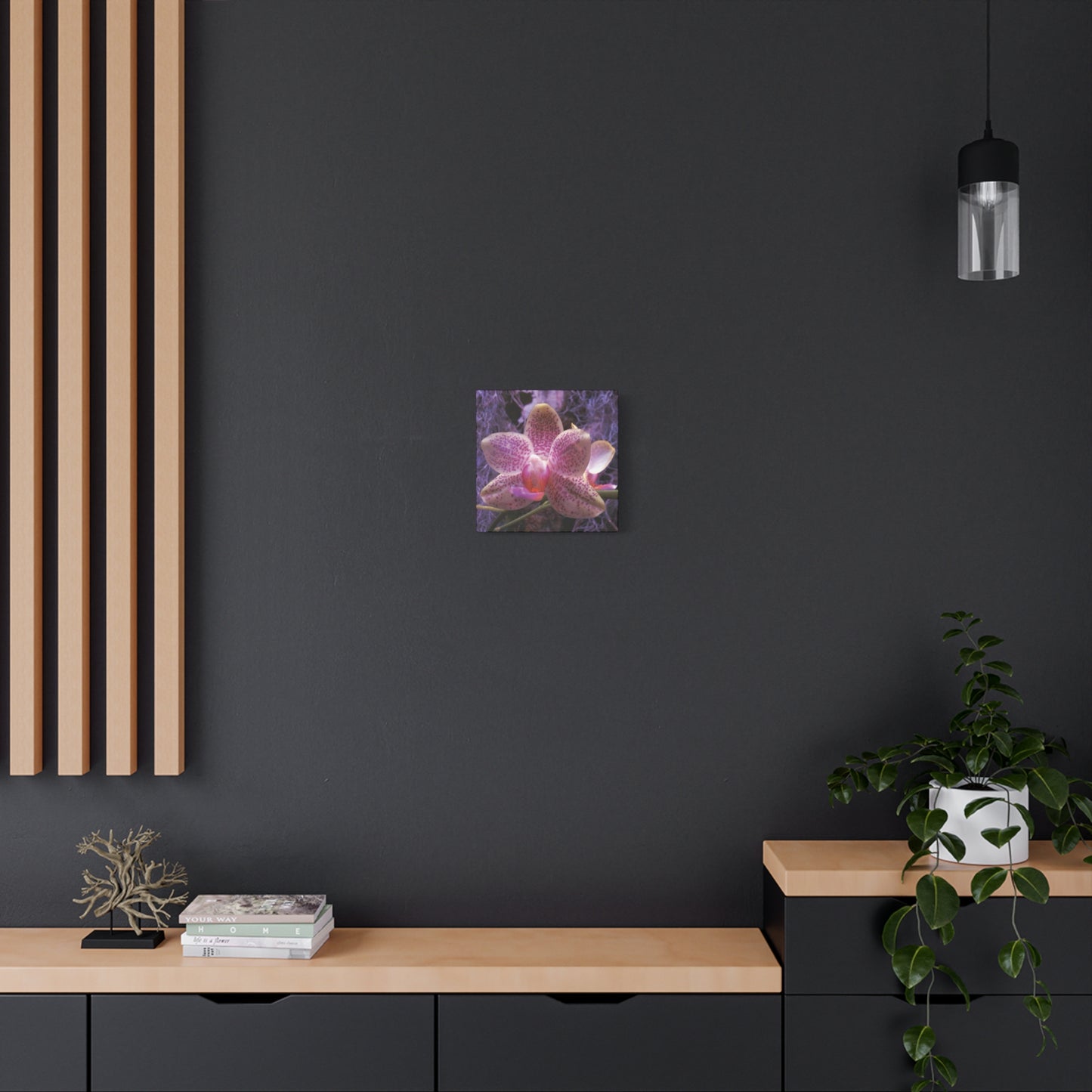 Twilight Orchid
