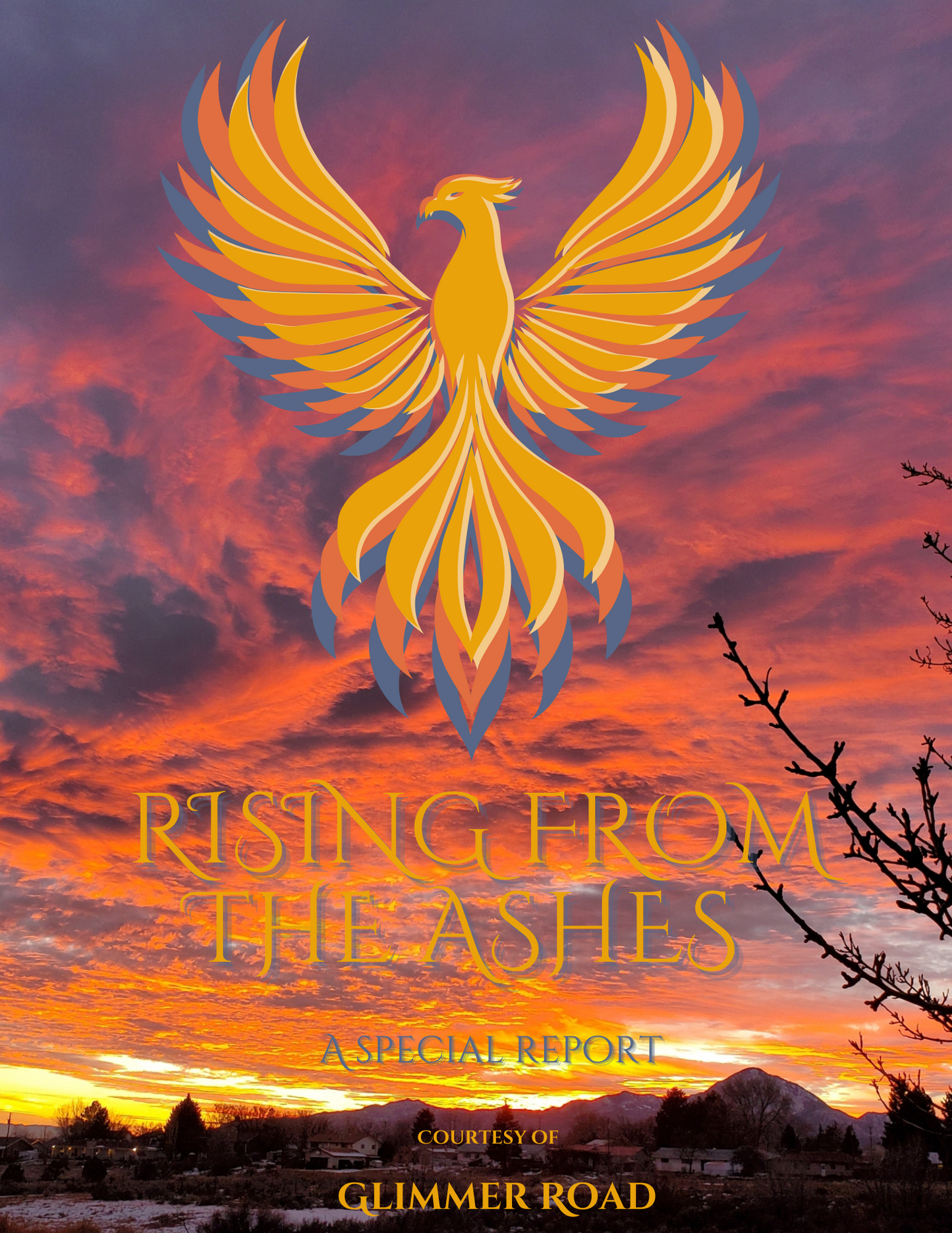Rising from the ashes