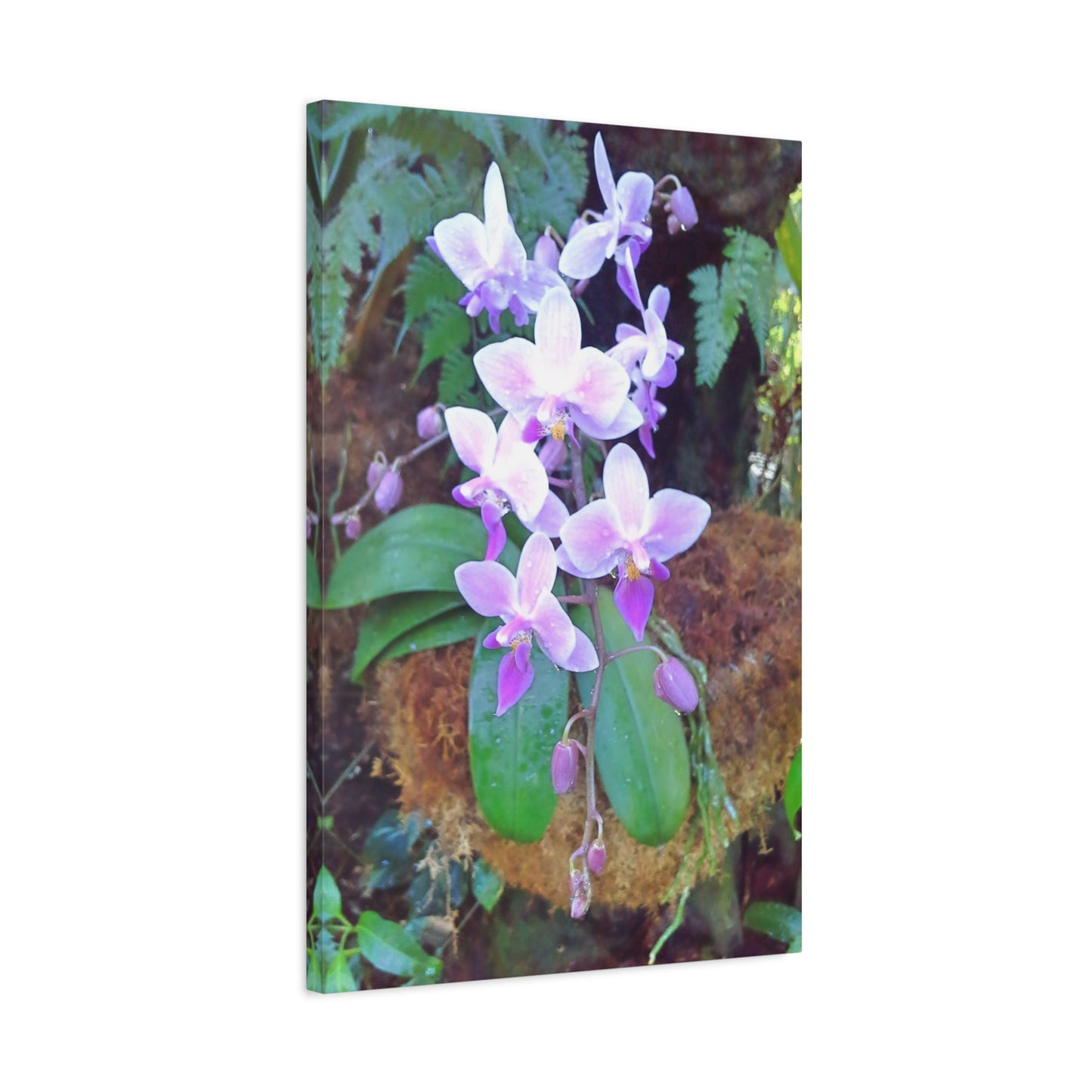 Matte Canvas, Stretched, 1.25" - Glimmer Road 