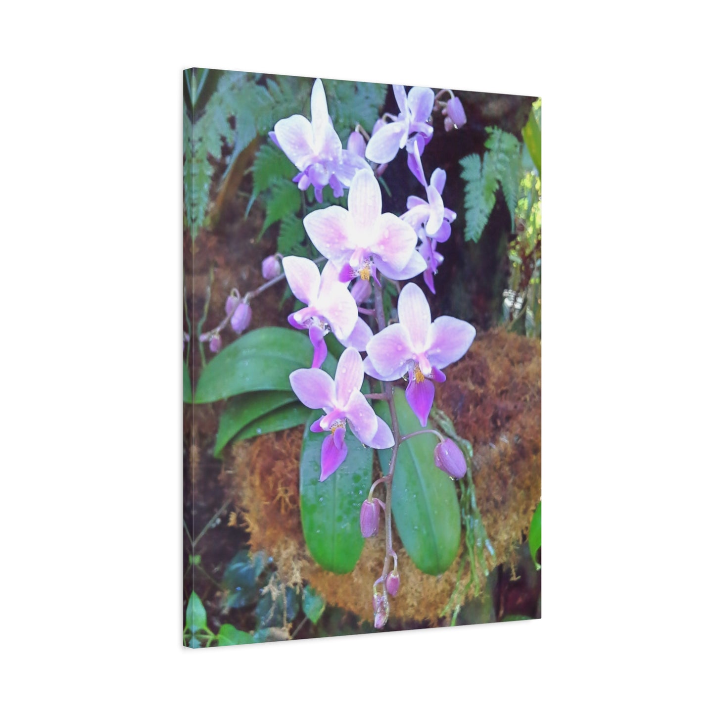 Matte Canvas, Stretched, 1.25" - Glimmer Road 