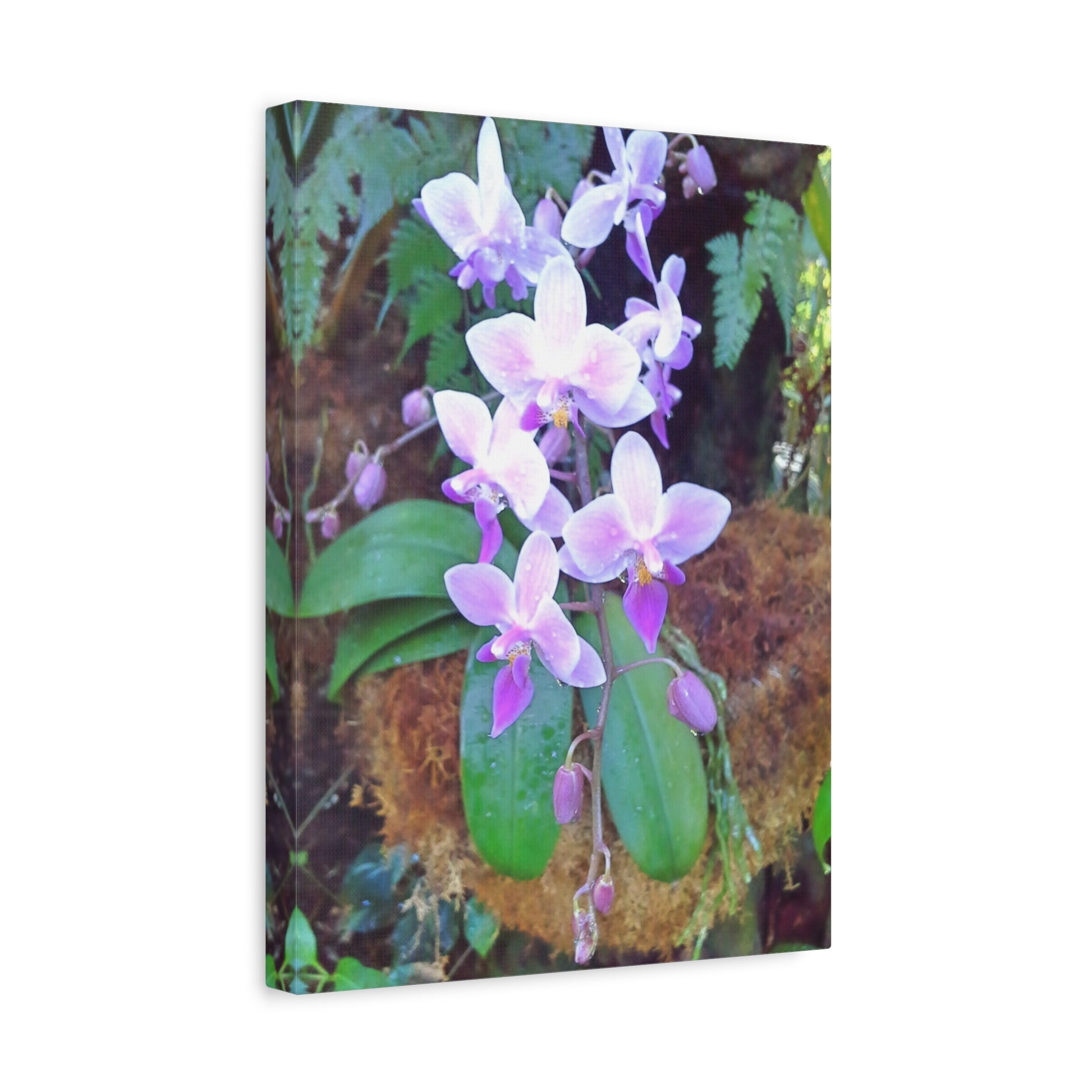 Matte Canvas, Stretched, 1.25" - Glimmer Road 