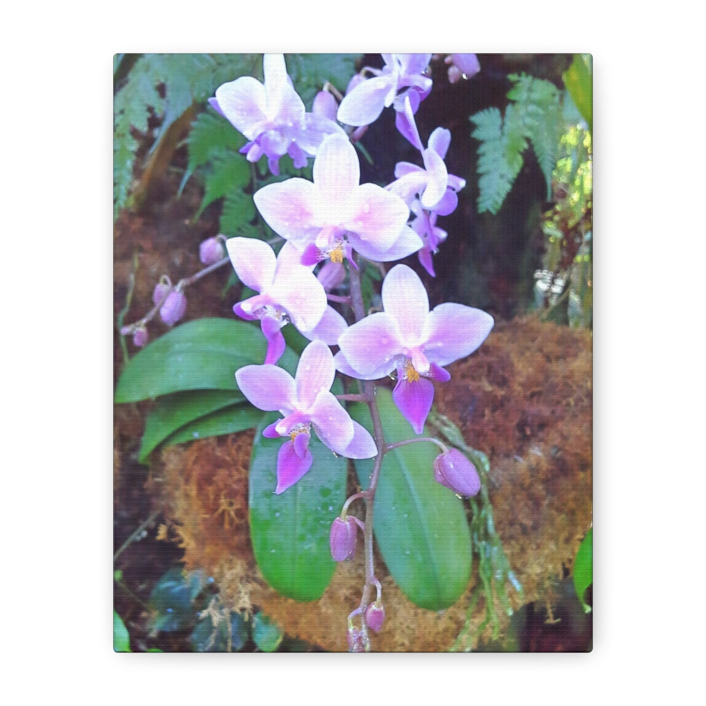 Matte Canvas, Stretched, 1.25" - Glimmer Road 