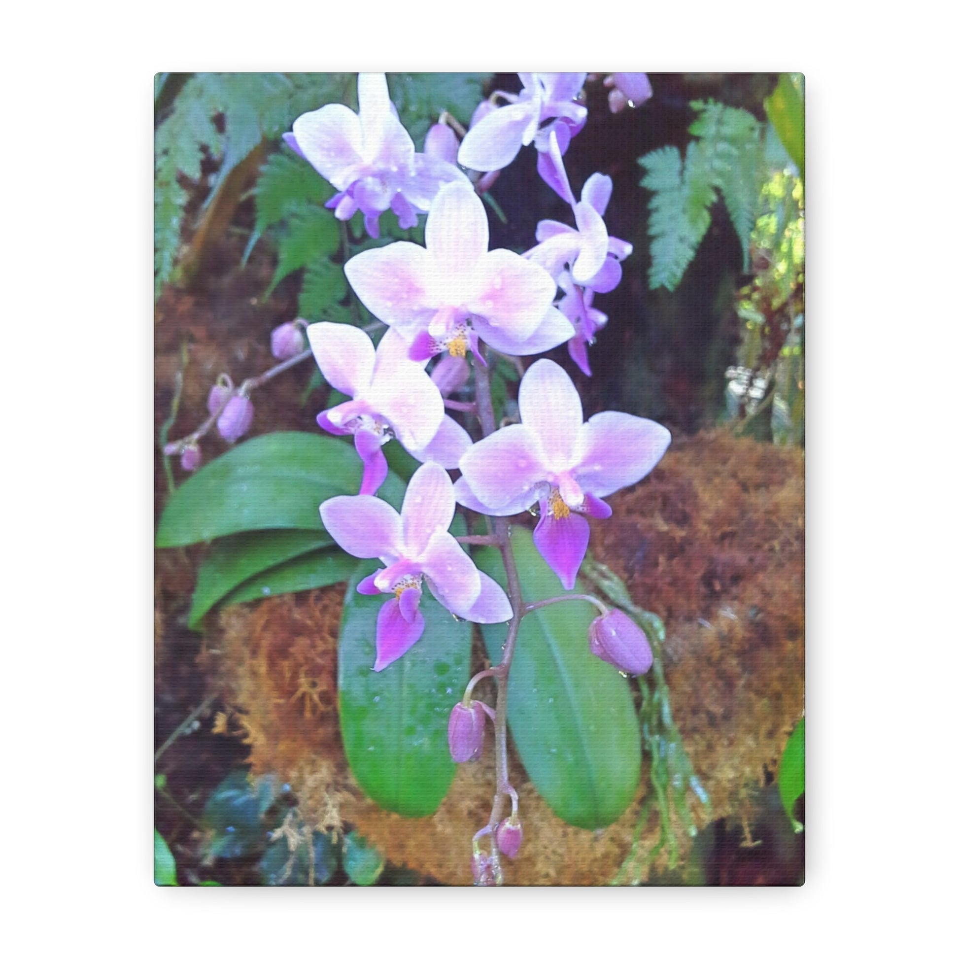 Matte Canvas, Stretched, 1.25" - Glimmer Road 