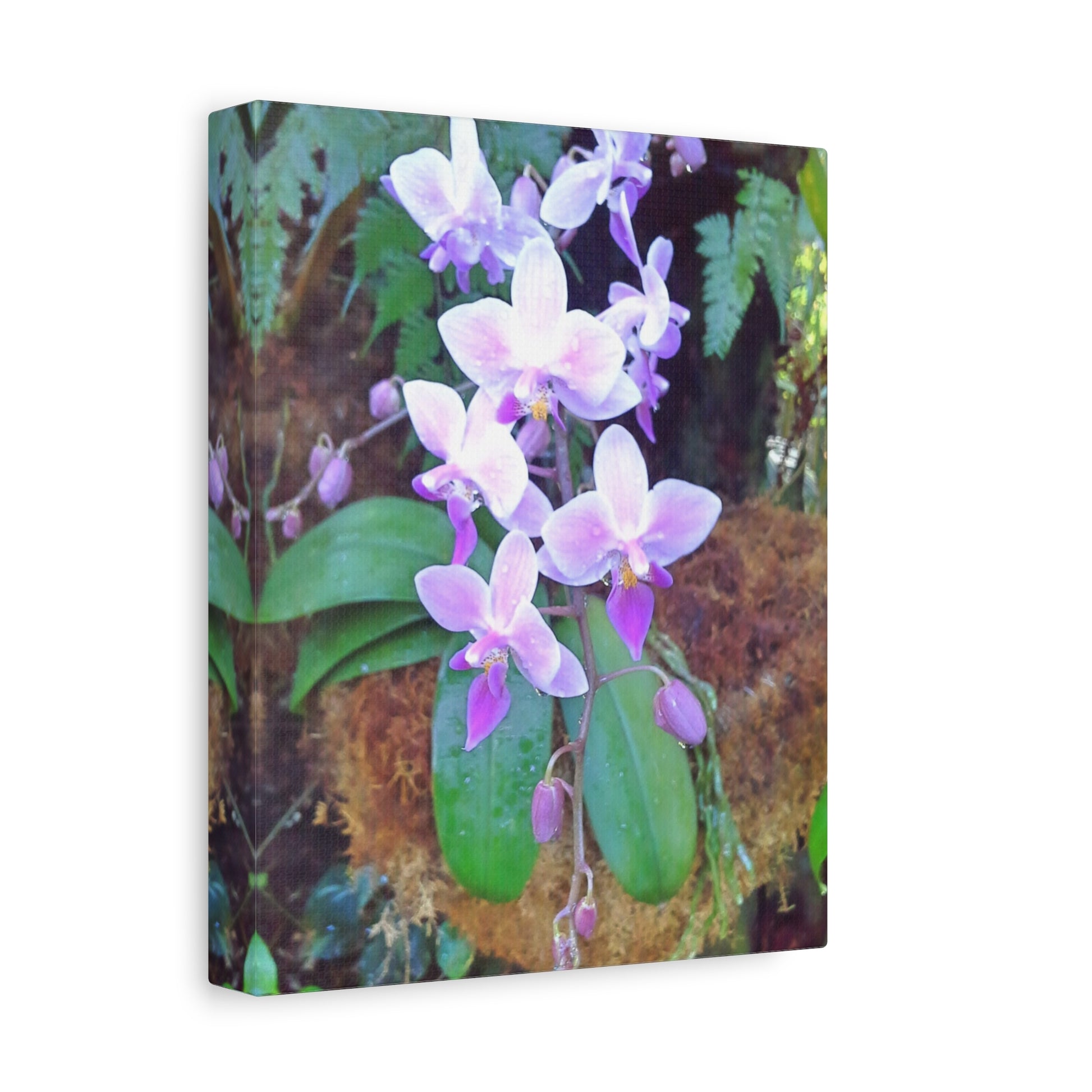 Matte Canvas, Stretched, 1.25" - Glimmer Road 