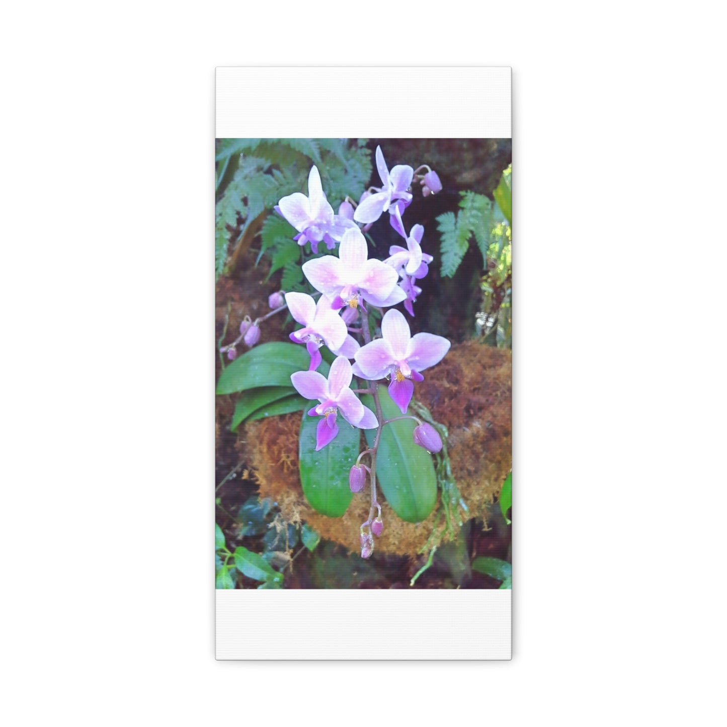 Matte Canvas, Stretched, 1.25" - Glimmer Road 