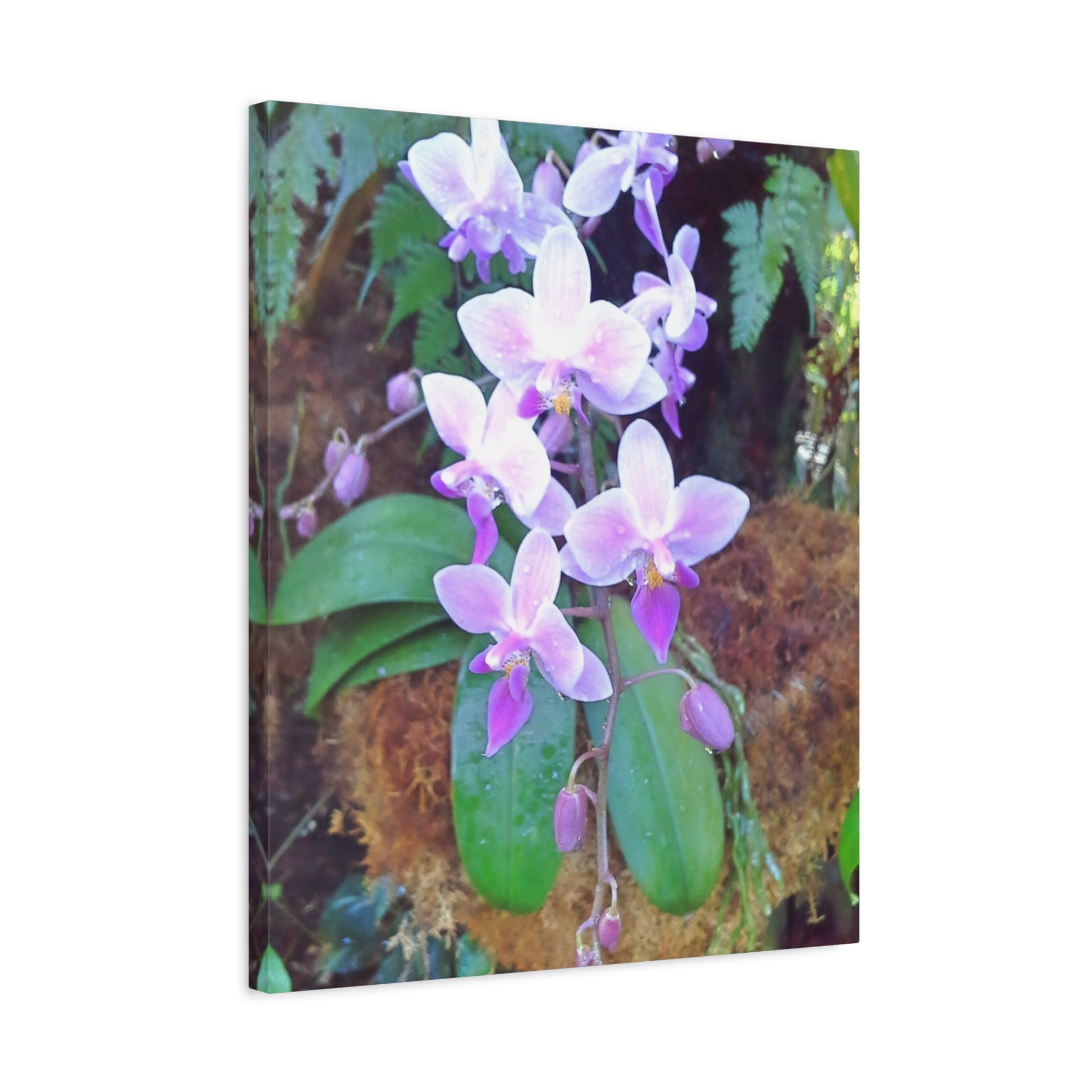 Matte Canvas, Stretched, 1.25" - Glimmer Road 