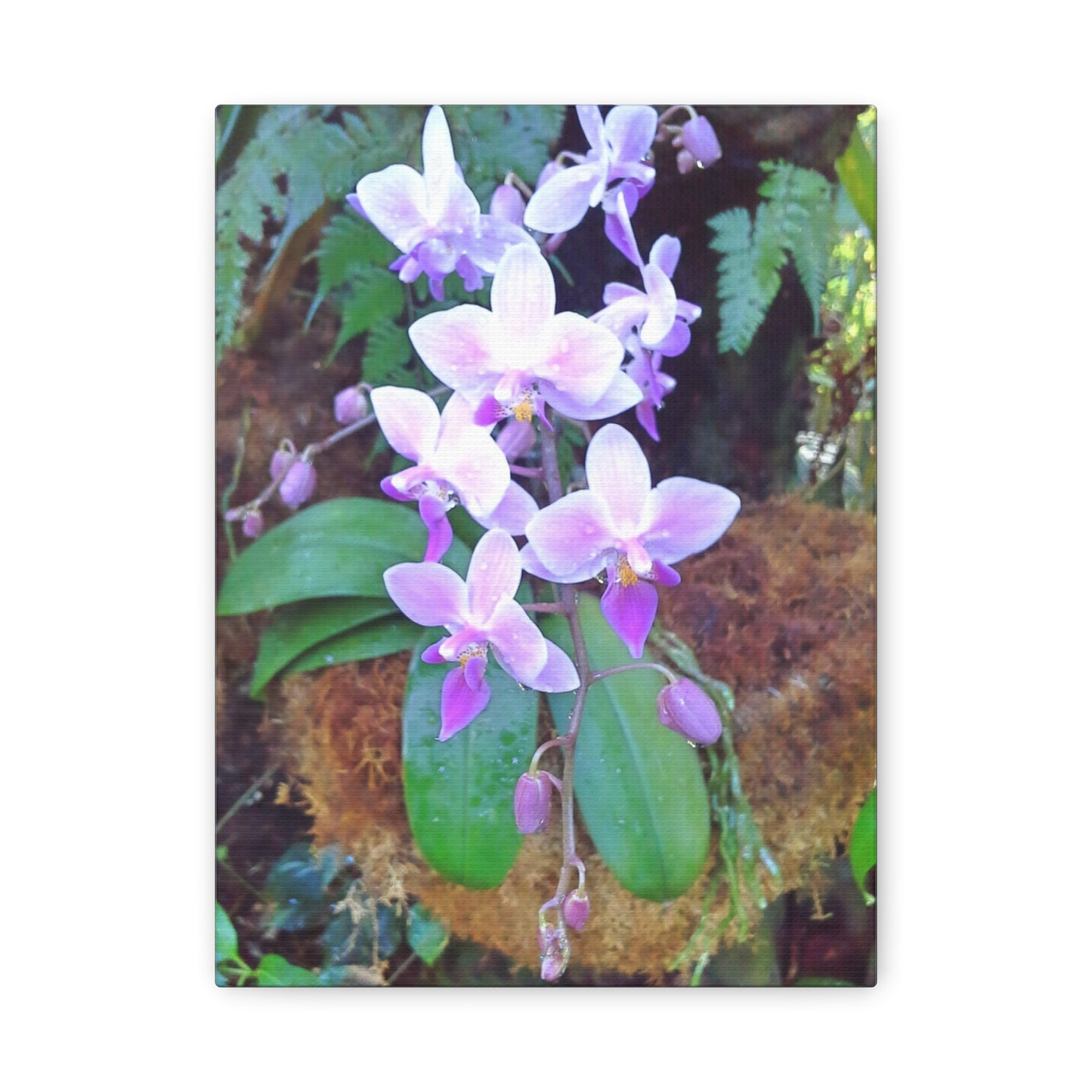 Matte Canvas, Stretched, 1.25" - Glimmer Road 