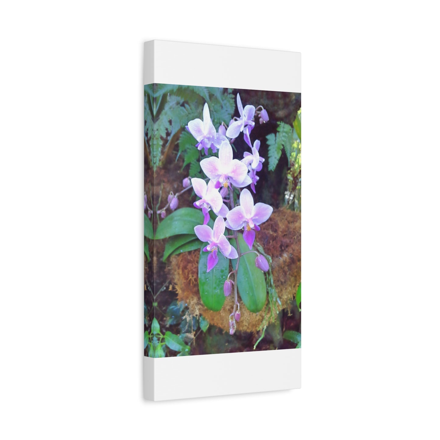Matte Canvas, Stretched, 1.25" - Glimmer Road 