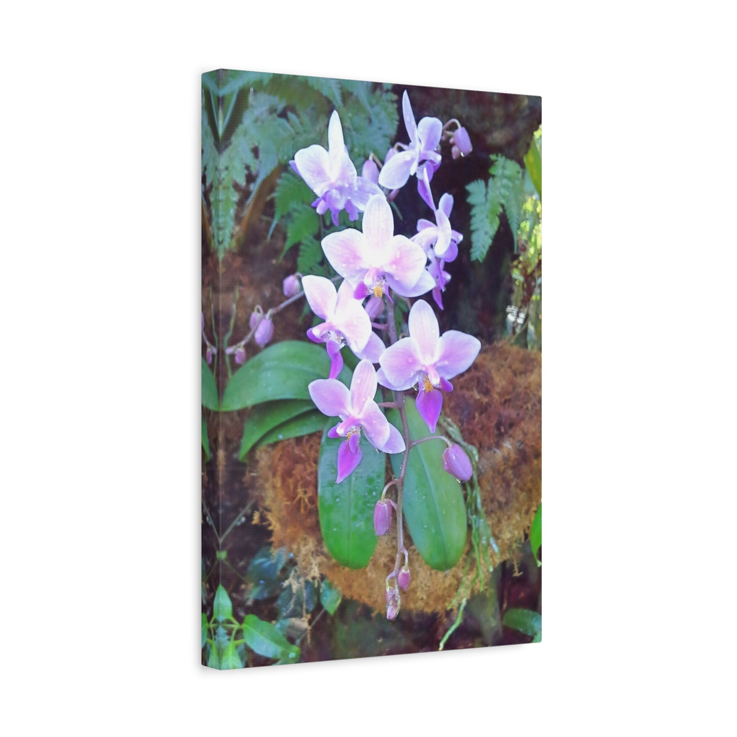 Matte Canvas, Stretched, 1.25" - Glimmer Road 