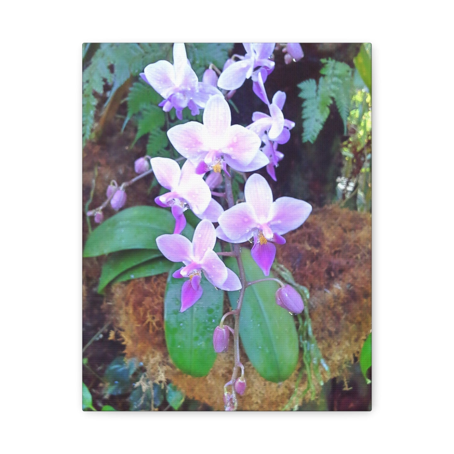 Matte Canvas, Stretched, 1.25" - Glimmer Road 