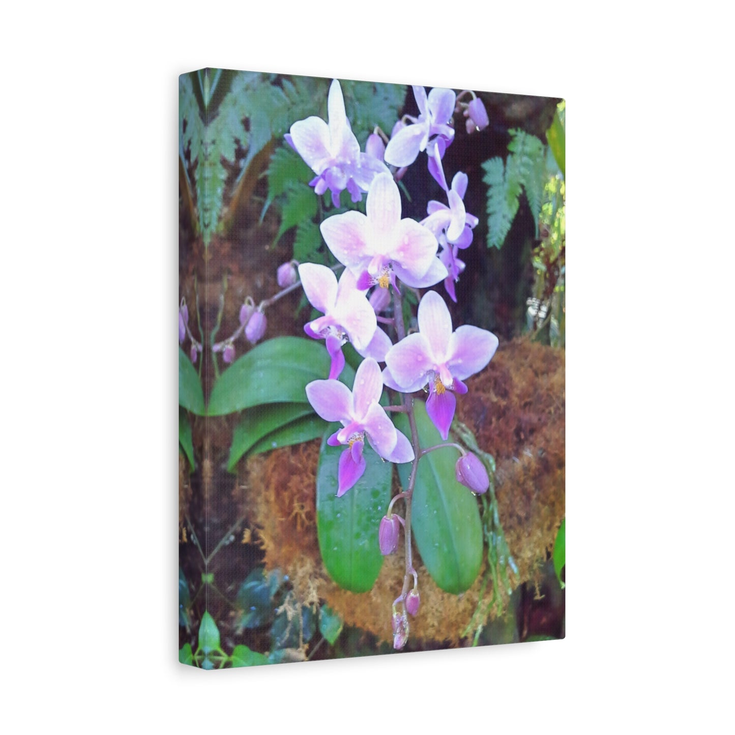 Matte Canvas, Stretched, 1.25" - Glimmer Road 