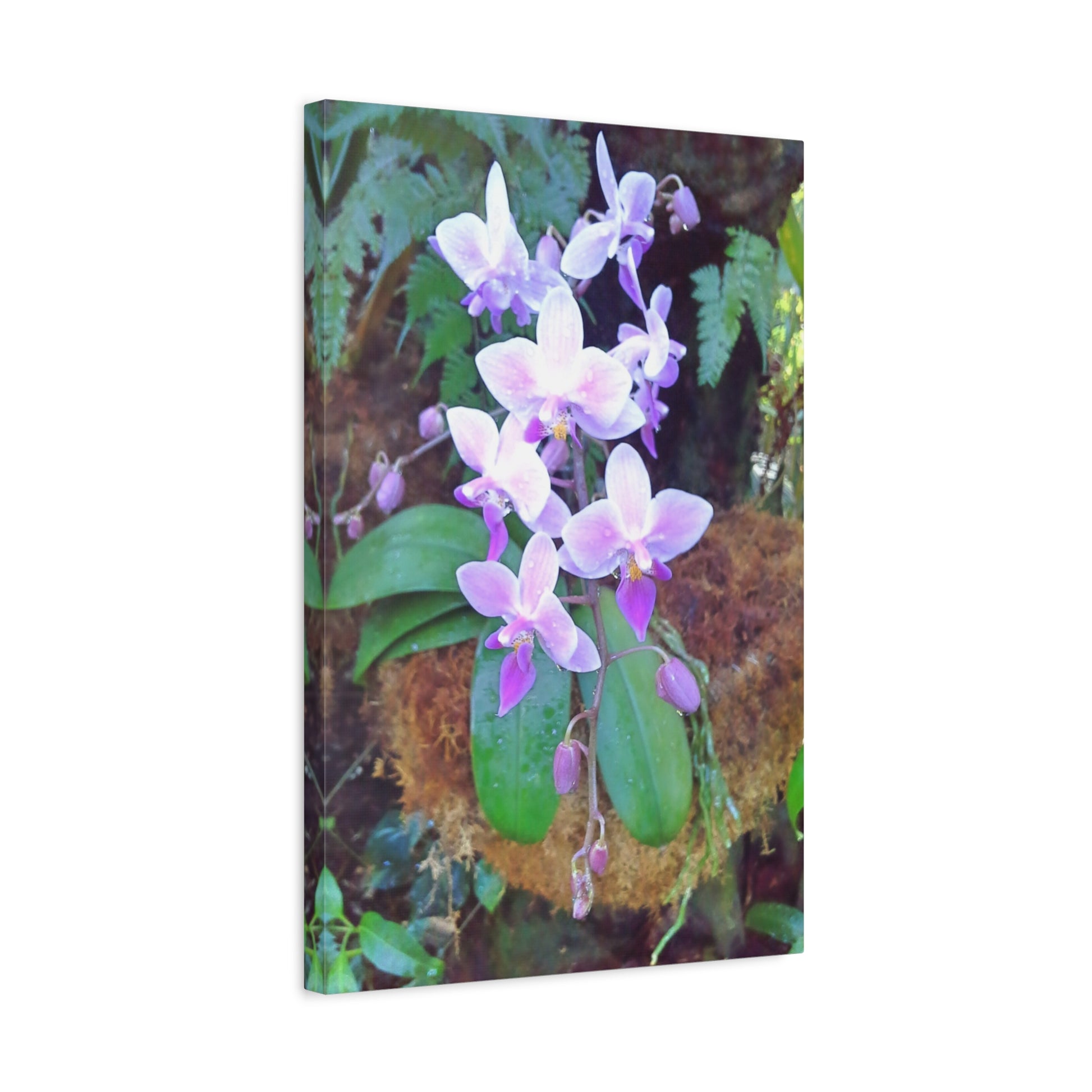 Matte Canvas, Stretched, 1.25" - Glimmer Road 