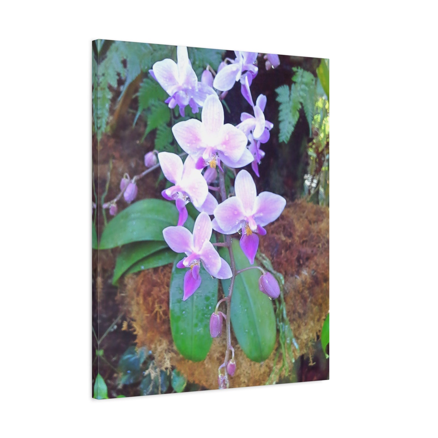 Matte Canvas, Stretched, 1.25" - Glimmer Road 