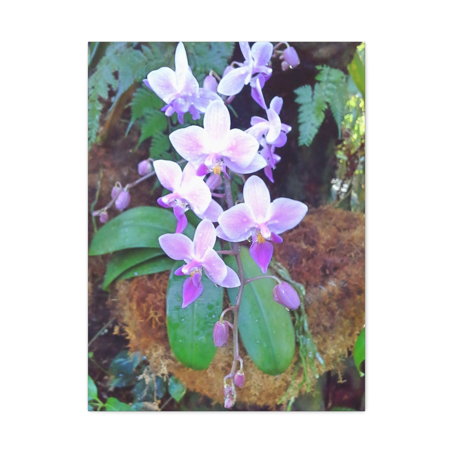Matte Canvas, Stretched, 1.25" - Glimmer Road 