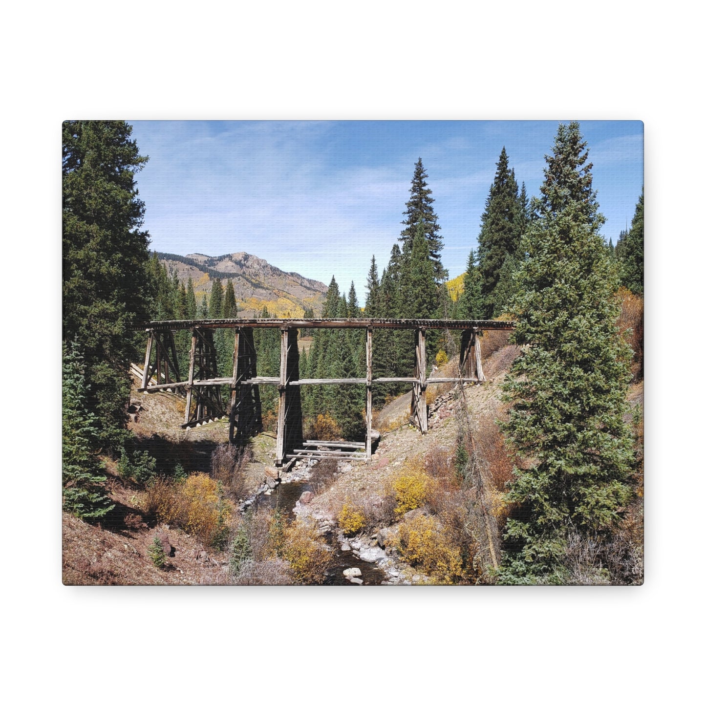 Trestle at Trout Lake