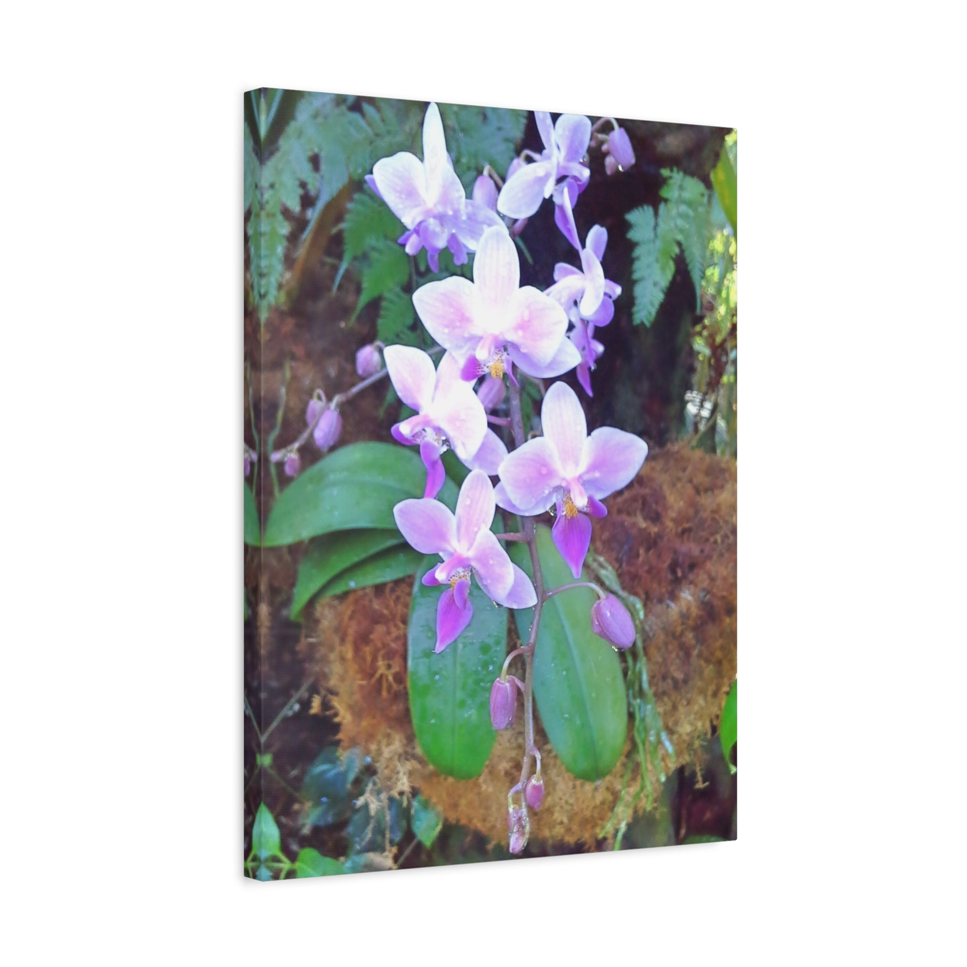 Matte Canvas, Stretched, 1.25" - Glimmer Road 