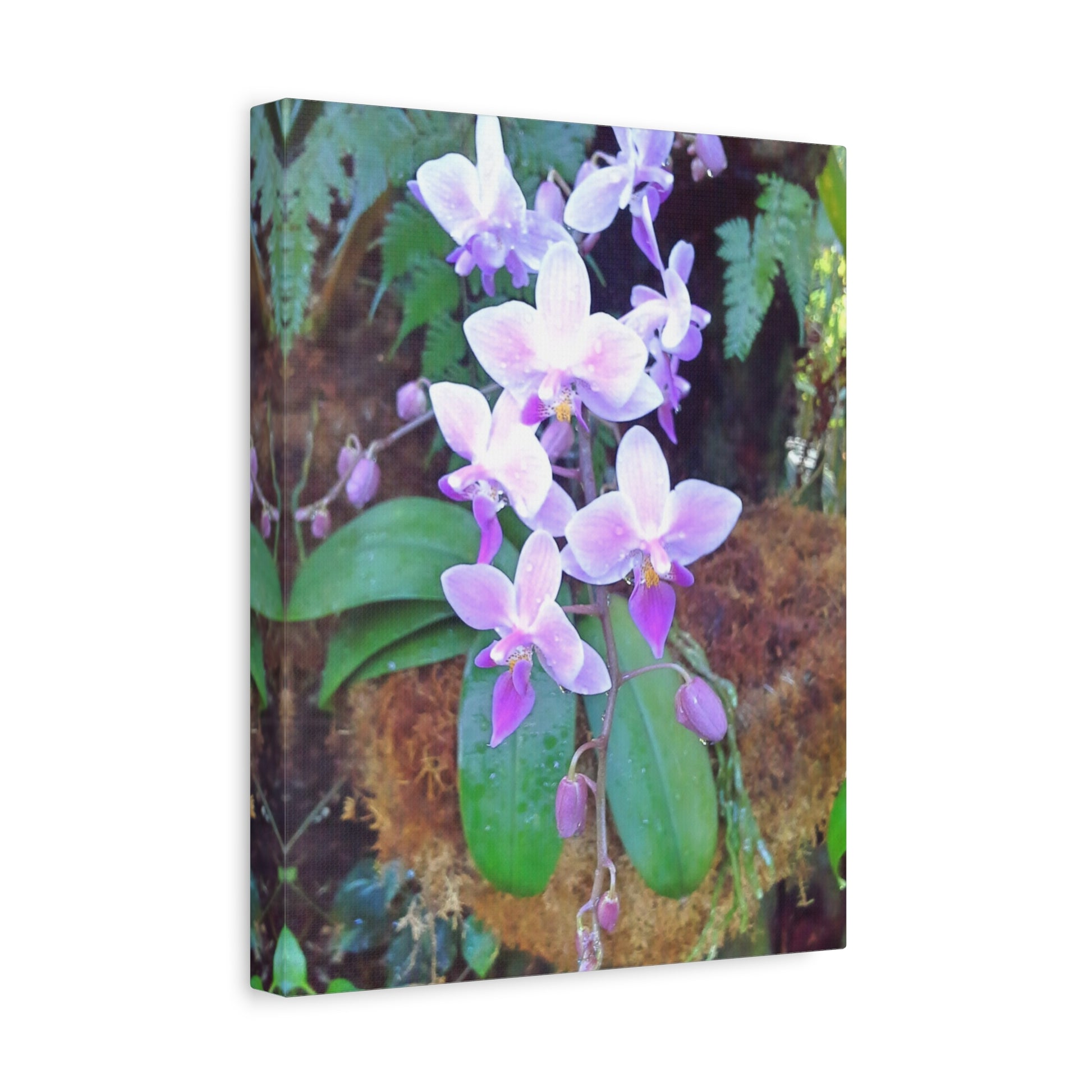 Matte Canvas, Stretched, 1.25" - Glimmer Road 