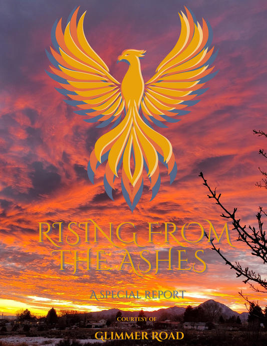 Rising from the ashes